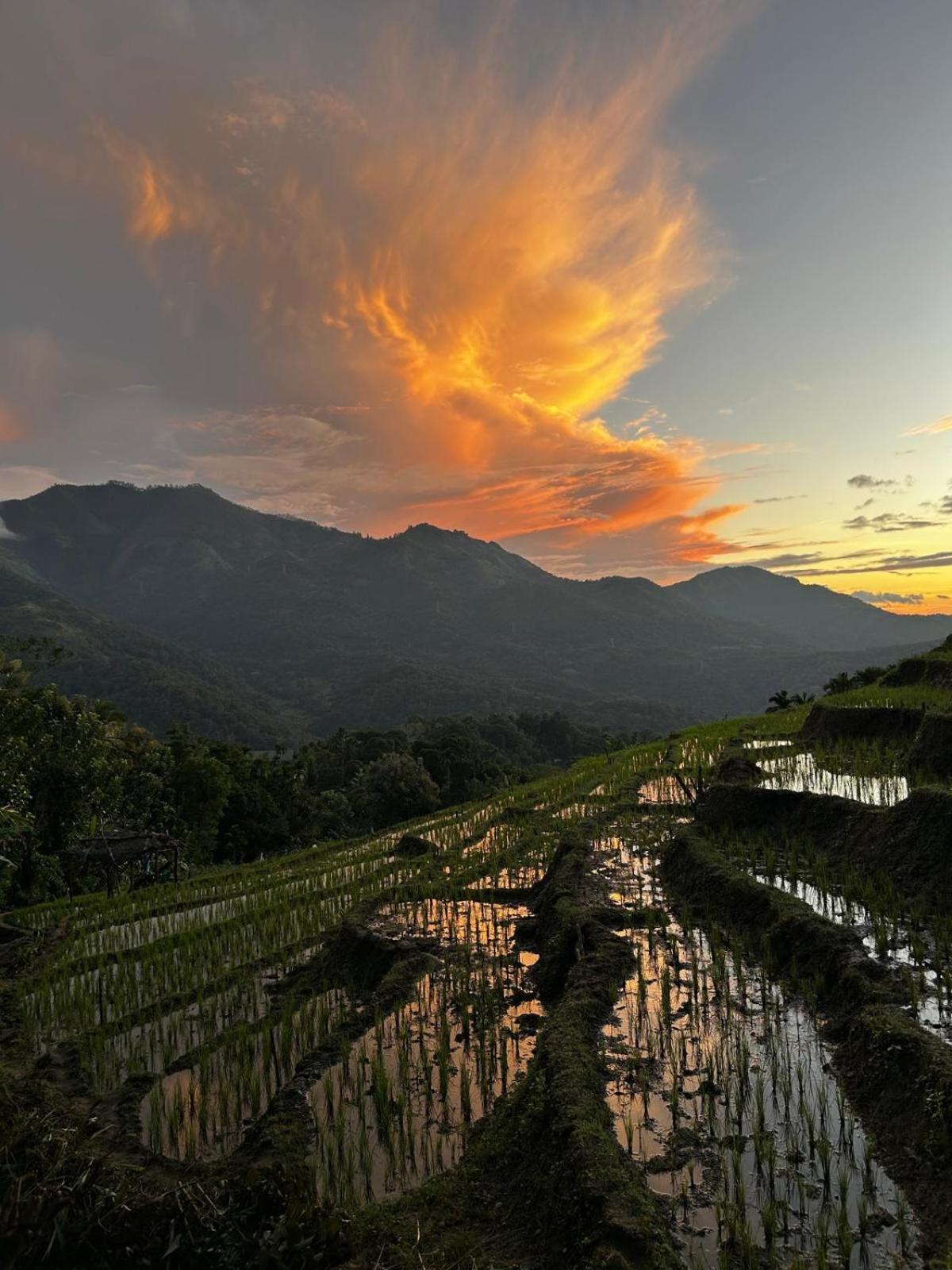 Villa Kingdom Of Rustic Ella Exterior foto